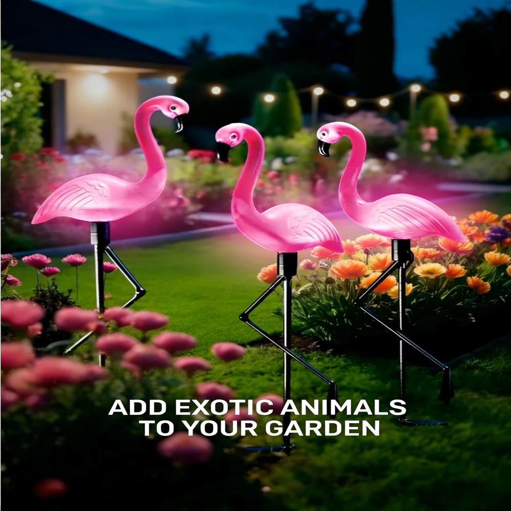3Pcs Solar Powered Flamingo Gr - Outdoor Lighting Traditional avis et prix