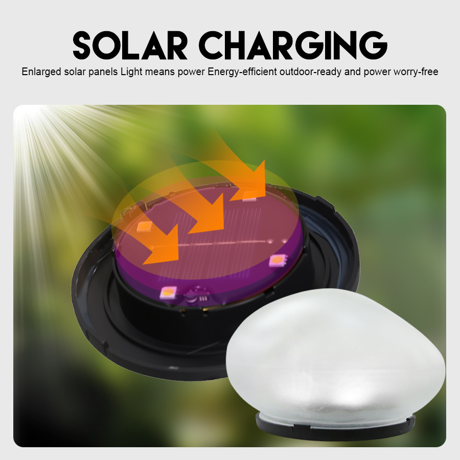 Solar Decorative Lamp Frosted  - Outdoor Lighting Led Fixtures avis et prix