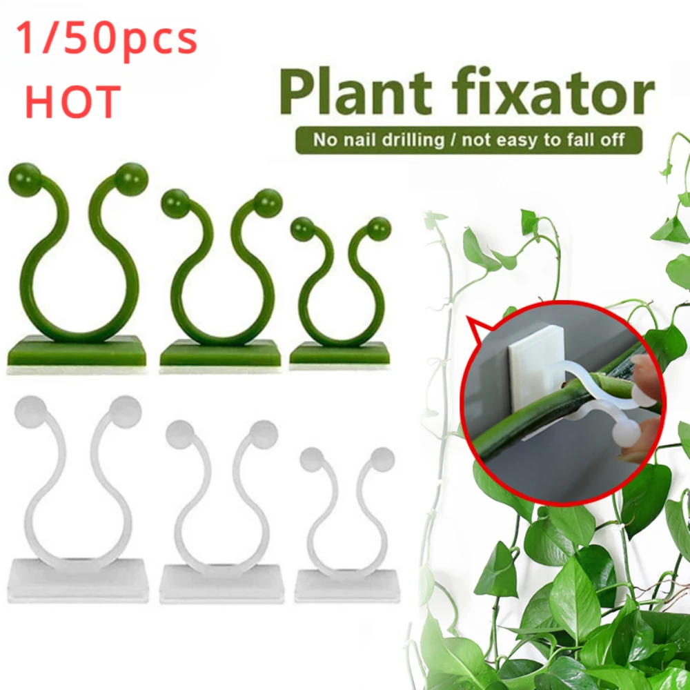 1/30/50Pcs For Garden Accsesor - Outdoor Lighting Traditional avis et prix