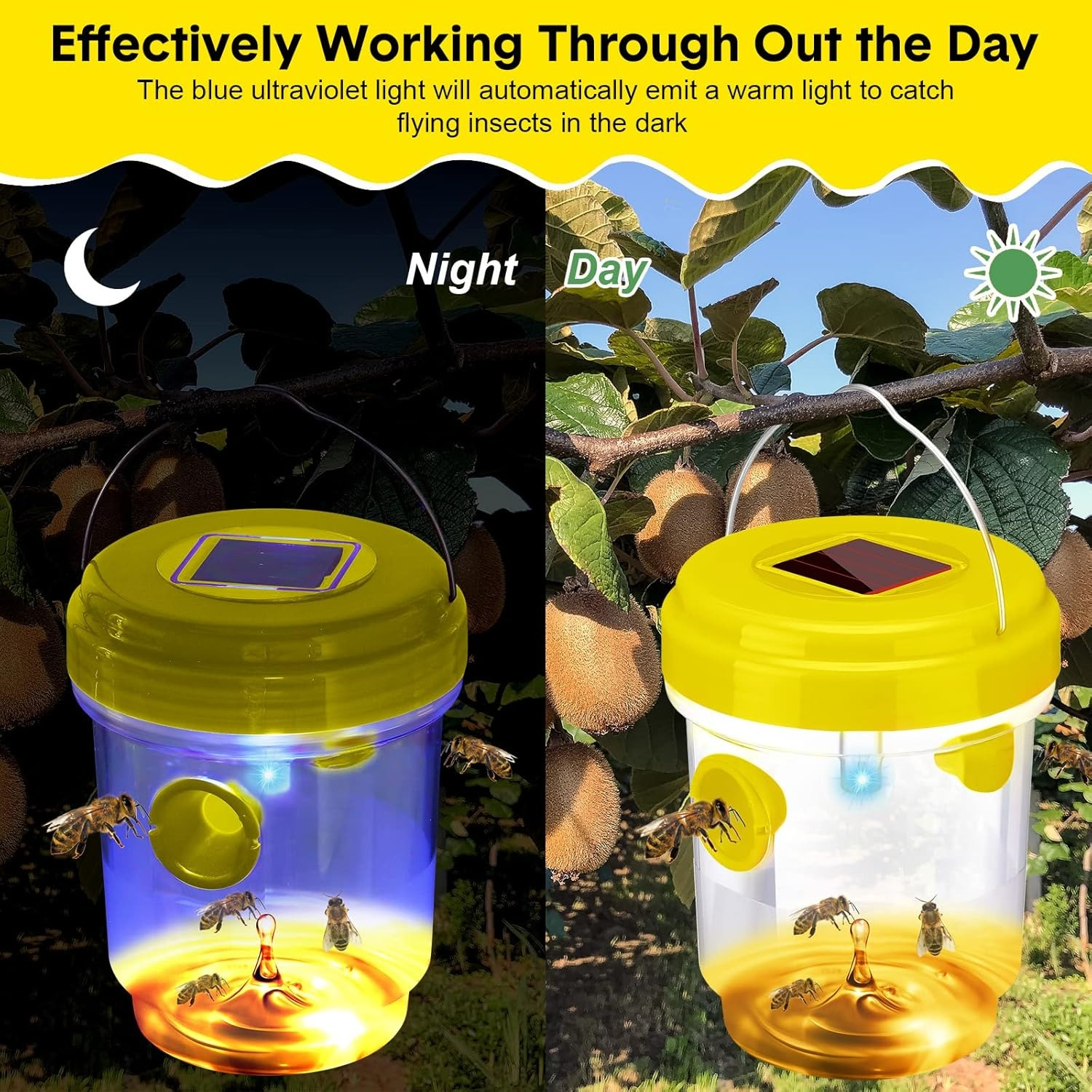 1-6PCS Solar Wasp Trap Waterpr - Outdoor Lighting Led Fixtures avis et prix